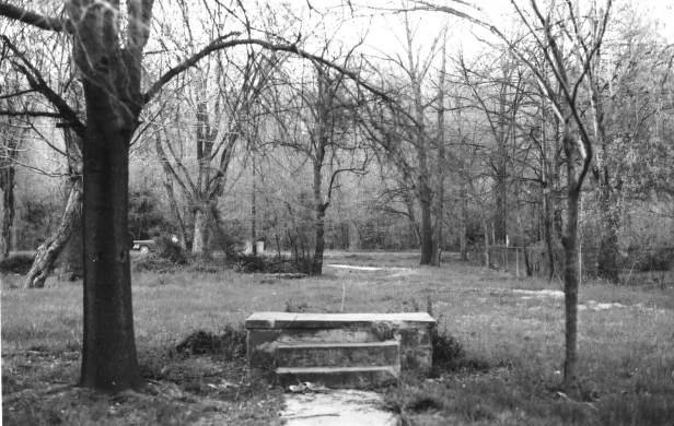 Ruins of homes, such as those along a section of Lakeland Road, pictured below, blighted the community for more than five years. 